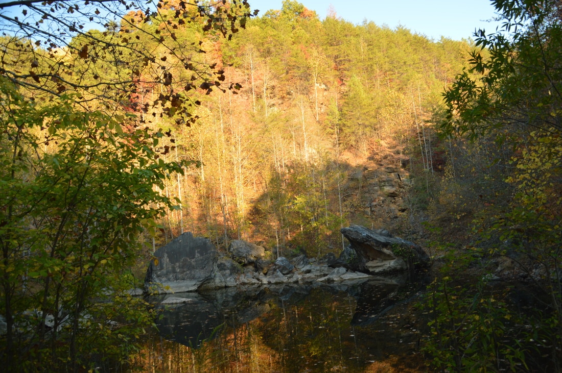 Pine Log Creek Trail System, Waleska, Georgia - HIKING THE ...