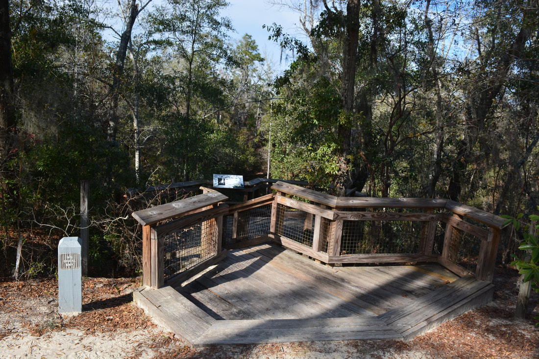 Apalachicola National Forest Leon Sinks Geological Area